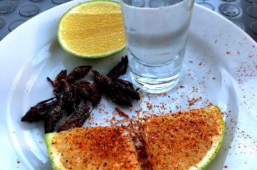 Lime with chilli powder, spicy grasshoppers and mezcal for a Friday.