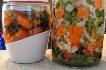 Giardineria and Dilly Carrots. Both are being fermented with serranos!