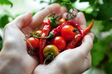 Chili pepper consumption could help people live longer, says American Heart Association