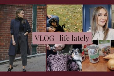 Life Lately: cozy fall recipes, October at home, Sephora VIB sale chat | ttsandra