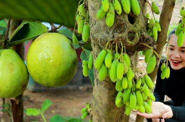 Bilimbi Fruit And Guava With Salt Chili Recipe