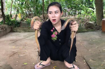 YuMi Cooking Show |fried eel chili| Yu Mi Cooking