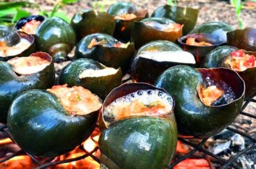 Grilled Snails bbq for food - Cooking snail bbq with chili sauce recipe