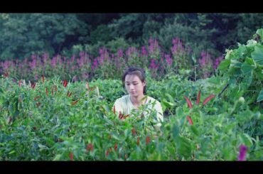 Grow Incredible Chili Pepper Plant from Seeds