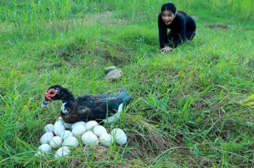 Steamed Duck Egg With Chili Garlic Green Onion Recipe