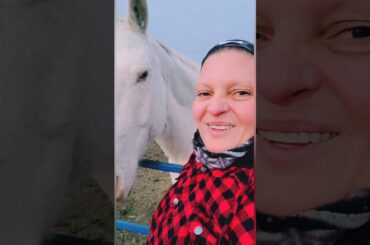 Week 2 Day 6 - Late night, walking, bread recipe, and chili