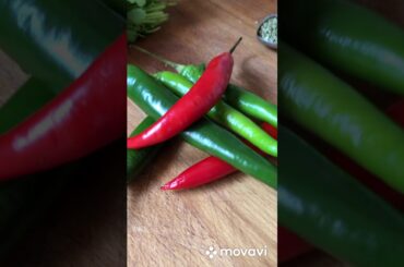 CHILI GARLIC CILANTRO | EASY HOMEMADE CHILI GARLIC CORIANDER SAUCE | HOT SAUCE | HOT BBQ SAUCE
