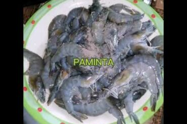 CHILI GARLIC SHRIMP | MY RECIPE | VALENZ VLOG