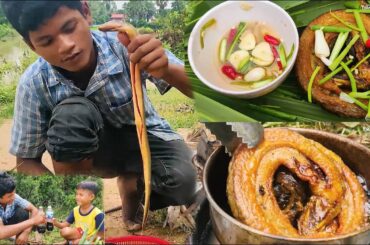 Talented Chef Cooking - How to Fried Eels Recipe with Chili Yummy Food [Easy Recipe]