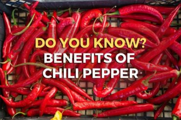 DO YOU KNOW? BENEFITS OF CHILI