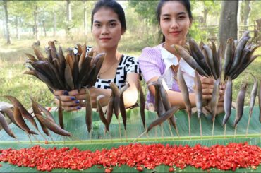 Amazing cooking fish fried with chili sauce recipe in my homeland - fish fried