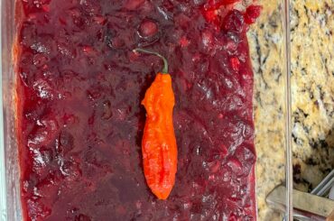 Happy Thanksgiving! Ghost pepper cranberry sauce!