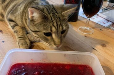 Cranberry sauce with scotch bonnets