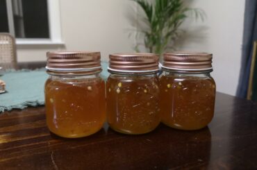 Homemade habanero jam. Keen to try it tomorrow.