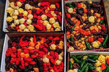 Time for hot sauce and pepper flakes!