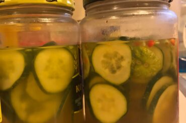 The pickles I posted a poll on a week ago!