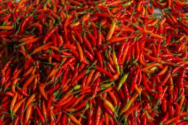 New Study Suggests People Who Regularly Eat Chili Peppers Live Longer