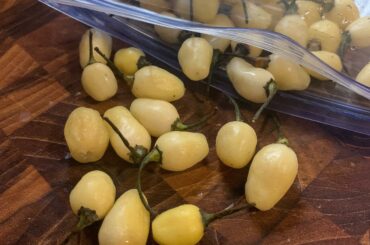Can someone tell me what type of peppers these are?