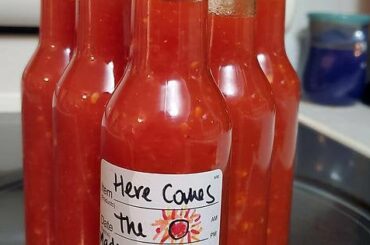 Ok fine, I'll make Sriracha too. Turned out surprisingly well!