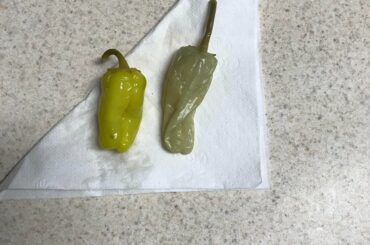 Don’t know if pepperoncinis are spicy enough, but the one on the left is from my fridge and the one on the right is from a pizza I got from Papa John’s. It looks white irl and I searched on google and couldn’t find anything about white pepperoncinis. Has it just gone bad?