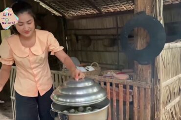 Harvest chili for my recipe