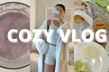 HUGE TRADER JOE'S GROCERY HAUL: chatting, cinnamon oatmeal + chili recipe