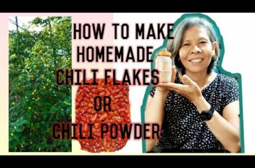 HOW TO MAKE HOMEMADE CHILI FLAKES O CHILI POWDER
