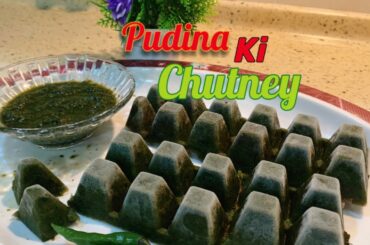 Pudina chutney with garlic green chili recipe | Pudina Chatni Mint Sauce with Garlic and Green Chili