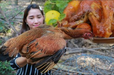 Catch Native Chicken At Home | Native Chicken stew Cooking Chili Sauce