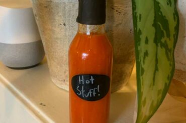 2 Week Fermented Garlic Fresno Hot Sauce