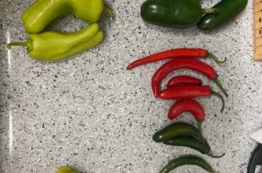 Can someone help identify these peppers?