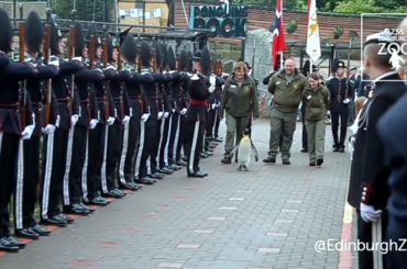 Penguin becomes dictator of Norway