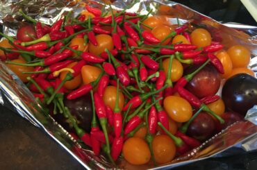 Italian Bird's Eye [Peperoncino] Blend I grew for smoking and making spicy salsa with the tomatoes!