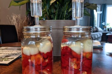 Spicy Bois Home From The Utility Pepper Research Kitchen
