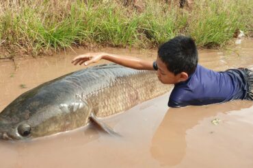 Eating delicious - Catch and cooking fish with Spicy Chili