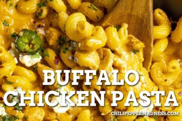 Buffalo Chicken Pasta Recipe - Chili Pepper Madness
