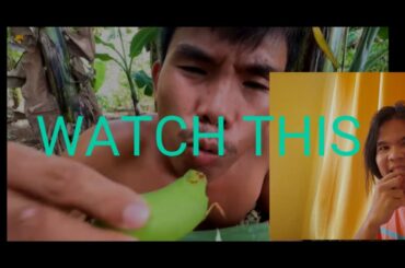 Boy tapang Vs Me:  Eat Green Banana Spicy Chili with lemon