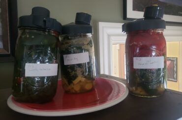 My first ferment, x 3- might be a little overfilled