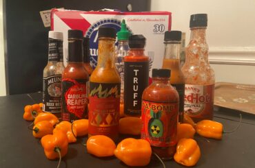 A solid collection. Christmas was good to me.
