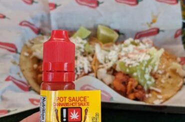Anyone tried this?