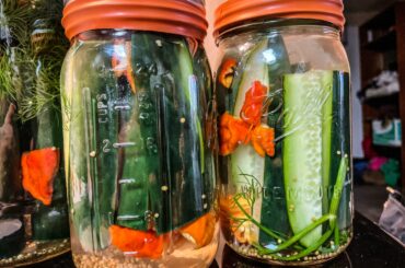 Started some homemade pickles today with Carolina reapers