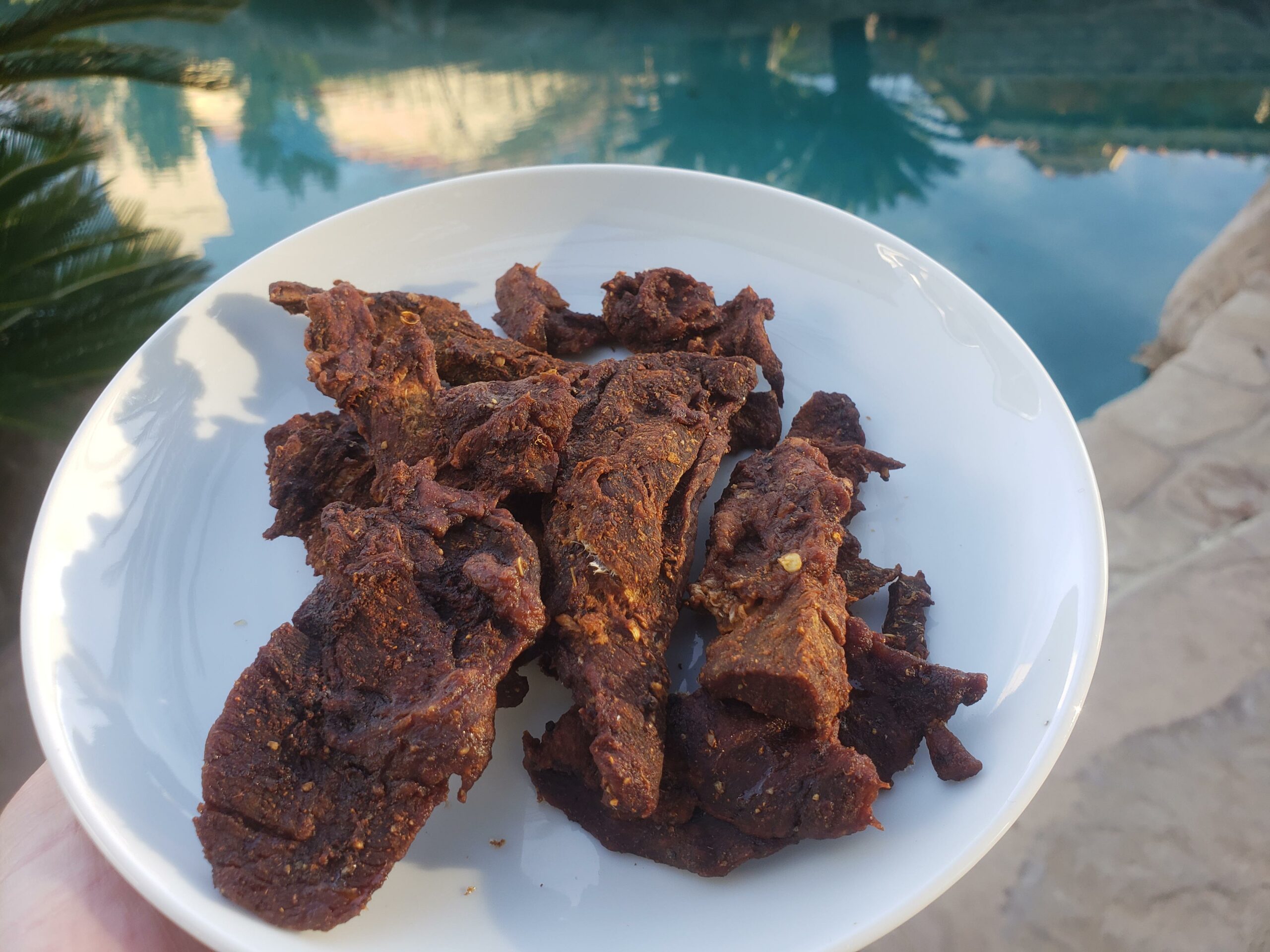 Homemade sweet and spicy cajun jerky. Marinated with tropical fruits
