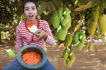 Amazing cooking shrimp paste with mango and chili salt recipe - Amazing video