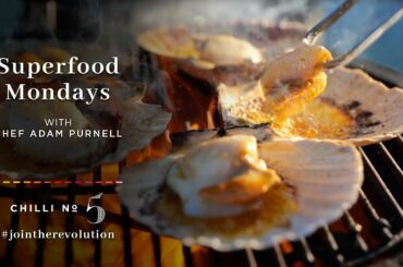 Chilli No. 5 | Welcome to Superfood Mondays | Healthy Tasty Recipes Packed With Antioxidants.