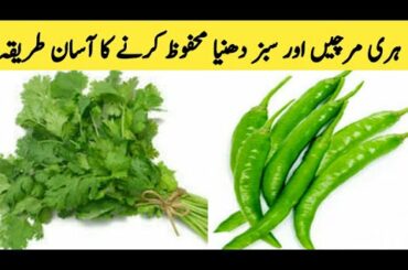 How To Store Coriander And Green Chilli ||  kitchen Tips & Tricks || Maria Ansari ||