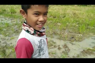 Hunting Exotic Food-Cooking Mole-crekit with chili Recipes