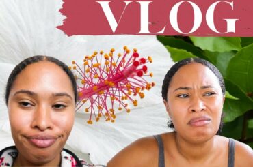 maui vlog 003: super easy vegan chili recipe, dossier, chillen at home