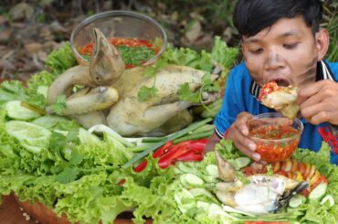 Cooking Recipes - Eating delicious in forest- Boiled Chicken with Amazing Chili Sauce -V-28
