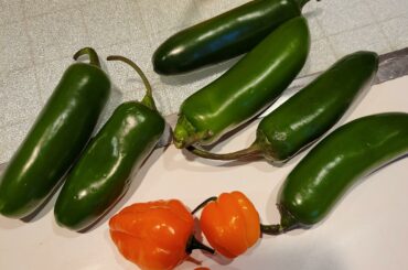 Good base for a salsa