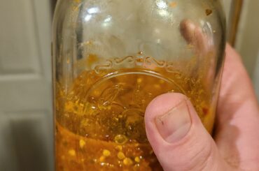 Ghost pepper miso hot sauce ferment I did. will have it ready to bottle in a couple days.